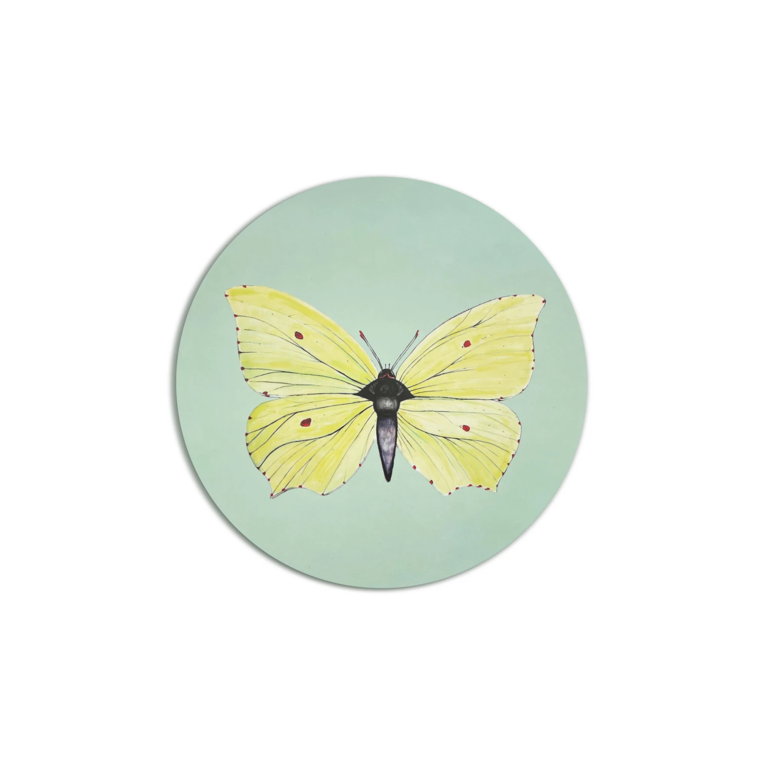Brimstone Butterfly Coaster - Yellow