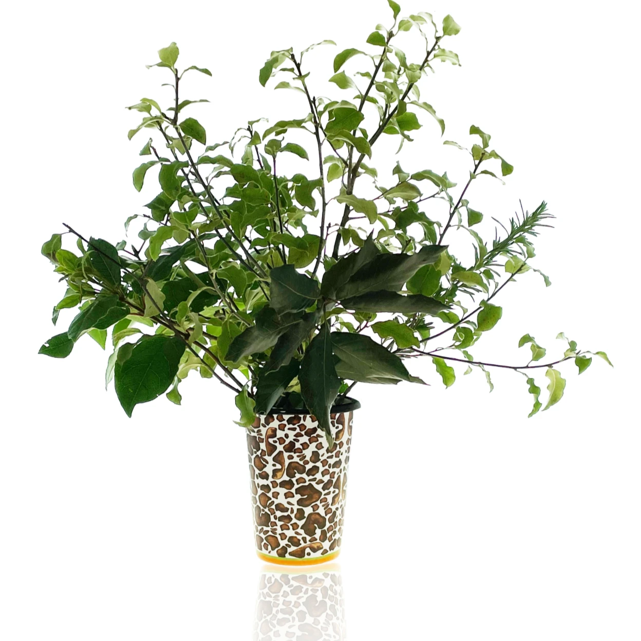 Mottled Tiger Moth Tumbler - Image 3