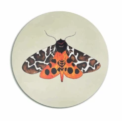 Tiger Moth Placemat